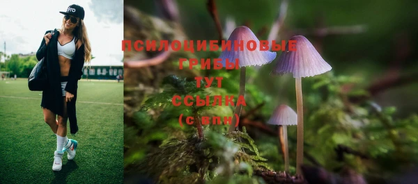 индика Алексин