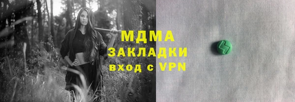 индика Алексин